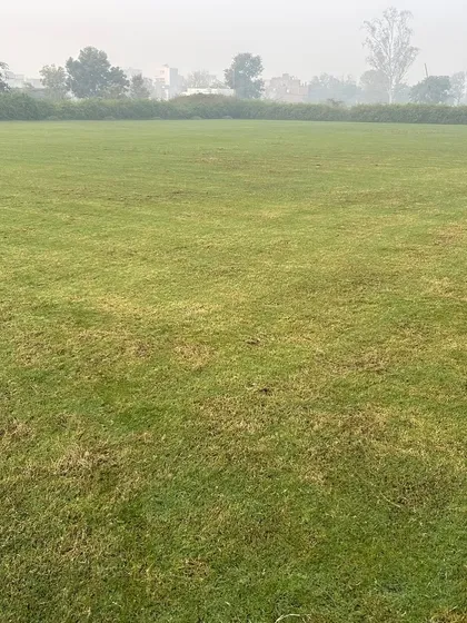 Another view of a large grass field, showing the consistent quality and color across the entire area.