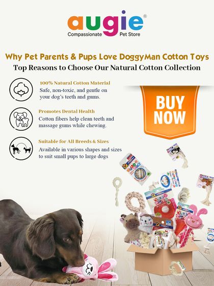 Augie Pets - Pet Supplies Playtime & Cozy Comforts photo 11