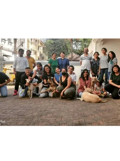 The full class photo from one of my workshops. It's a community of people who all want the best for their dogs.