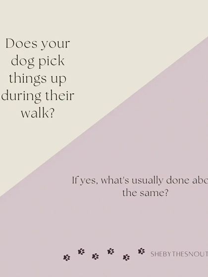 Aditi - In-Home Pet Sitting My Approach to Pet Sitting photo 9