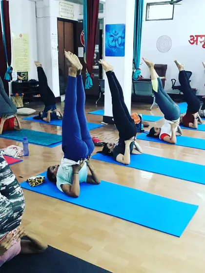 Students practicing Sarvangasana (Shoulder Stand), known as the 'queen of asanas'. This inversion calms the nervous system, improves circulation, and benefits the thyroid gland.