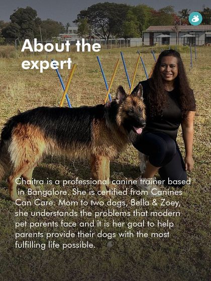 The Pack - Pet-Friendly Adventures & Meetups Guided Treks & Nature Hikes photo 21