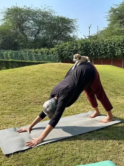 When a little rescue puppy decides to join my downward-facing dog. Moments like these remind us to stay playful and present.