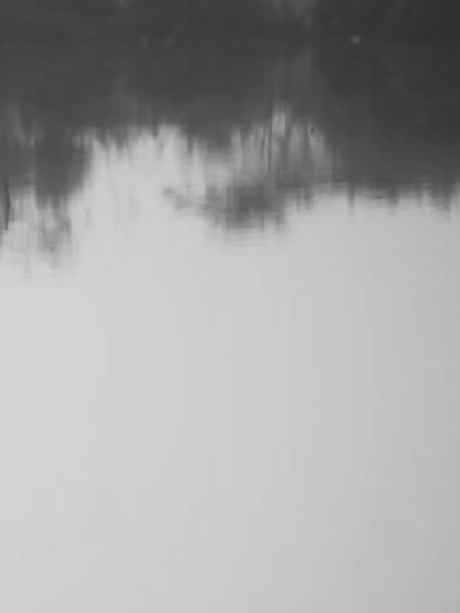 The Avian World: Portraits of Indian Birds photo 11