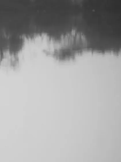 A minimalist monochrome shot of two flamingos, their reflections creating a sense of perfect symmetry and calm.