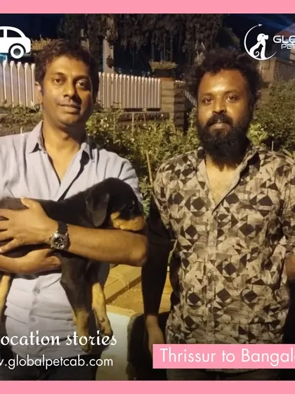 A happy client with his new Rottweiler puppy after we safely relocated the little one from Thrissur to Bangalore. We handle pets of all ages, including young puppies who require extra attention and care.