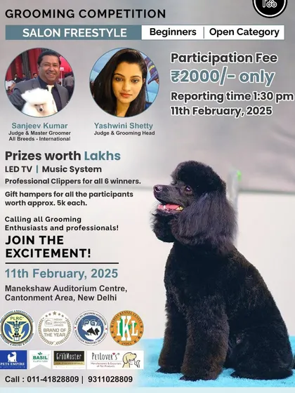 As an international judge and master groomer, I believe competitions are vital for growth. This poster is for one of our 'Salon Freestyle' grooming competitions, open to both beginners and professionals, offering a chance to test your skills and learn from the best in the field.
