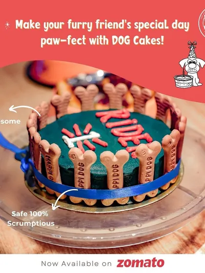 Our cakes are all about safe indulgence. This custom cake, with its biscuit border and personalized name, is made with 100% wholesome, dog-friendly ingredients so you can celebrate without a worry.