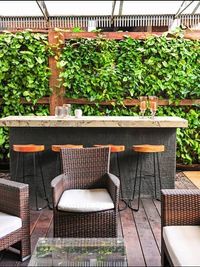 Rooftop, Terrace & Balcony Gardens