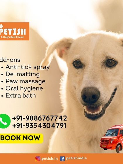 Petish Grooming - Mobile Grooming for Dogs & Cats Our Grooming Packages photo 20