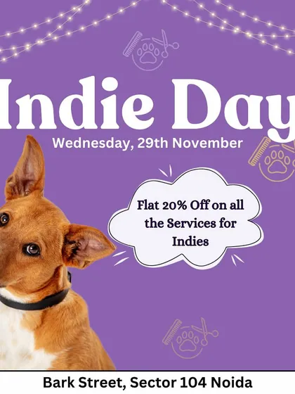 Another Indie Day! We believe in giving our indie dogs the royal treatment with discounts on all our services.