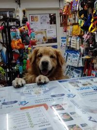 Pet Food & Supplies