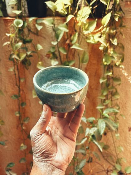 Congratulations to this student on completing her beginner's course. She created a beautiful collection, including a tall vase with leaf imprints and a lovely coiled bowl.