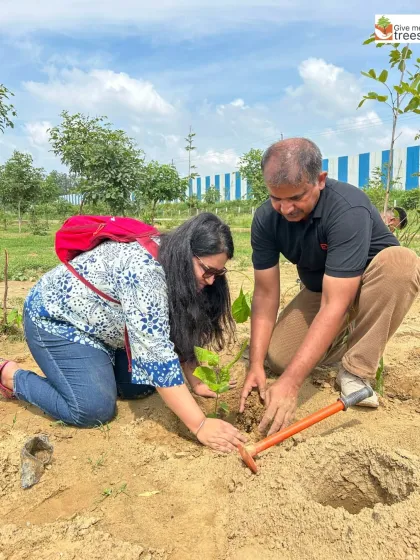 These images showcase individual employees from EXL, Marsh, Amdocs, Telus, HCL, and Northern Trust deeply engaged in the act of planting. Each photo captures a personal moment of connection with nature, showing the focus and care that our corporate volunteers bring to these drives.