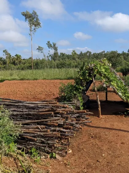 A rustic scene from the countryside. Our rides take you through farmland and villages, offering a glimpse of rural life.