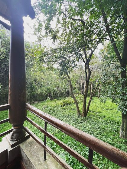 The view from our temple balcony at the Ananda Bangalore Retreat. Looking out into this expanse of green, it is easy to feel a sense of inner silence and calm.