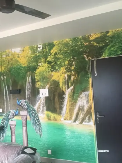 Ansari - Wallpaper & Mural Installation Custom Murals & Feature Walls photo 17