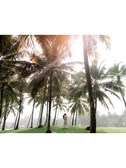 A serene pre-wedding moment in Goa. The couple stands together, framed by towering palm trees, showcasing the peaceful and romantic side of a destination shoot.