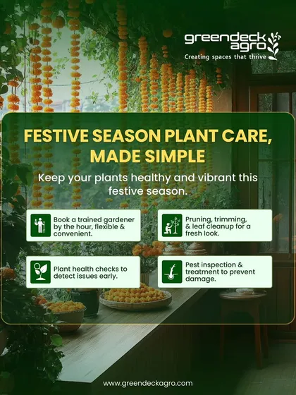 This festive season, make sure your plants shine with you. We offer simple, on demand services like pruning, trimming, and health checks to get your garden celebration ready.