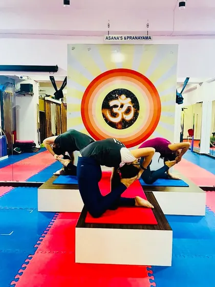 A group of students practicing Kapotasana together. The shared focus in the room helps everyone to go deeper into their own practice.