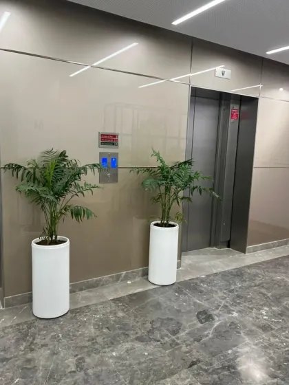 We strategically place plants to enhance high-traffic areas. A pair of elegant Areca Palms in tall white planters brings symmetry and a touch of nature to this modern elevator lobby.