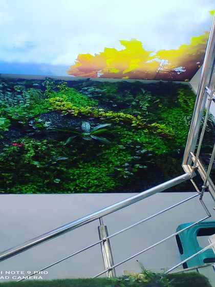 An artificial green wall installed below a custom ceiling panel that looks like the sky. This combination creates an immersive feeling of being outdoors, right inside your home.