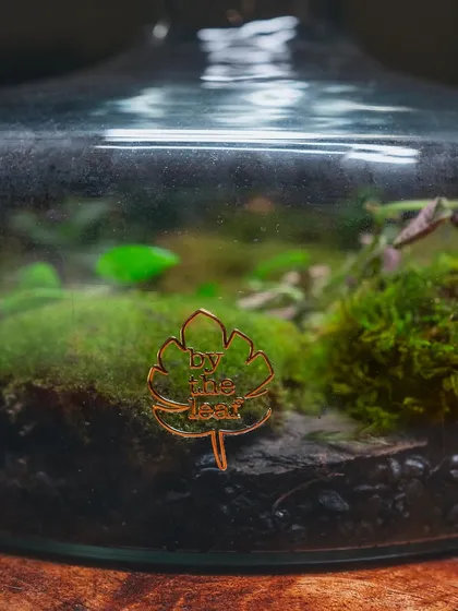 A close-up of the "By The Leaf" logo inside a decanter terrarium. This little detail is my signature on every piece I create.