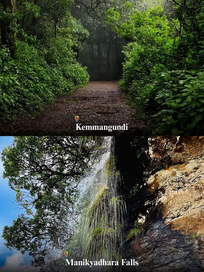 The misty forest trails of Kemmangundi and the beautiful Manikyadhara Falls, both part of our Chikmagalur itinerary.