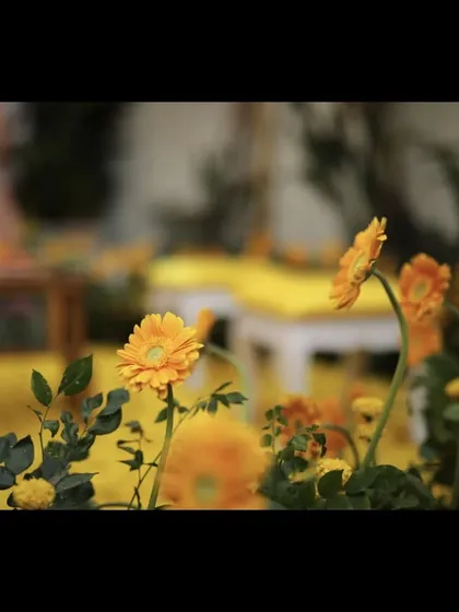 A close-up of the flowers used in our Haldi decor. We believe in using fresh, beautiful blooms to bring color and life to every event.