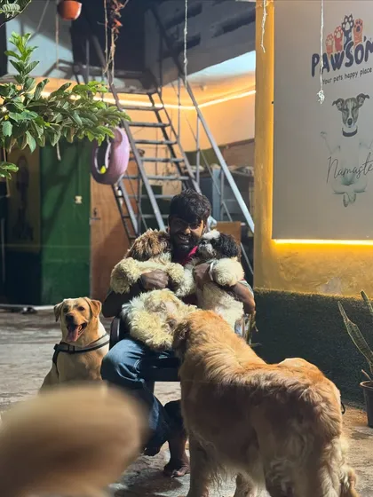 This is what I mean by 'family'. It's not just a boarding house, it's a home where dogs can cuddle up and feel completely at ease. There is always a lap ready for a furry friend.