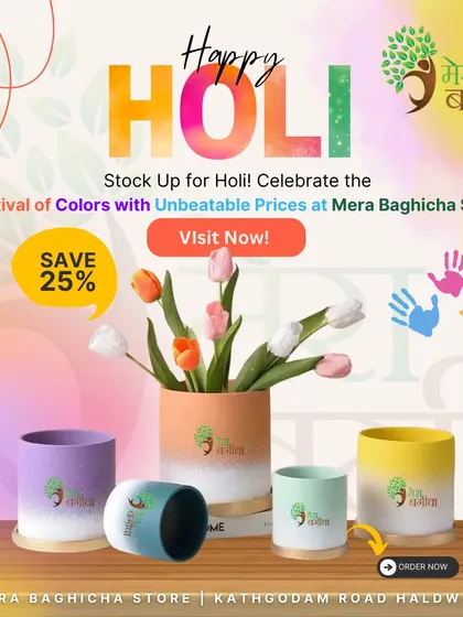 To celebrate the festival of colors, I had a special Holi offer on these vibrant, multi-colored pots. They are perfect for adding a splash of color to your home, just like the festival itself.