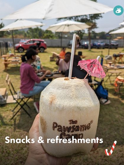 The Pack - Pet-Friendly Adventures & Meetups City Meetups & Doggie Picnics photo 20