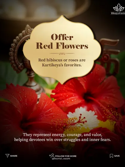 Offer red flowers for courage. Lord Kartikeya's favorite flowers are red hibiscus or roses. Offering them represents energy, courage, and valor, helping devotees overcome struggles and inner fears.