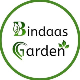 Bindaas Garden