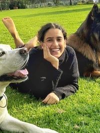 Dog Training for Shows & Media