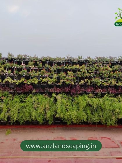 ANZ Landscaping - Vertical Garden Installation Outdoor & Courtyard Transformations photo 5