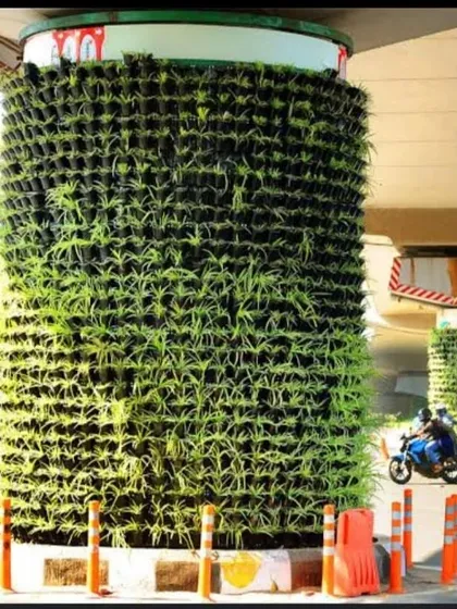 A vertical garden installed on a metro pillar, a smart city solution we implement to reduce pollution and beautify urban infrastructure.
