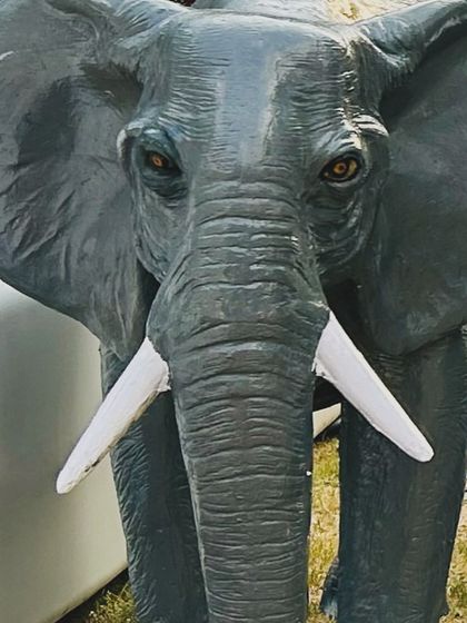 EPB Events - Wedding & Event Decoration Outdoor & Destination Events photo 6