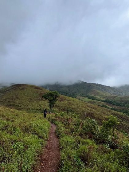 The trail winding through the green meadows of Kudremukha. Every step on this path is a step into nature's paradise.