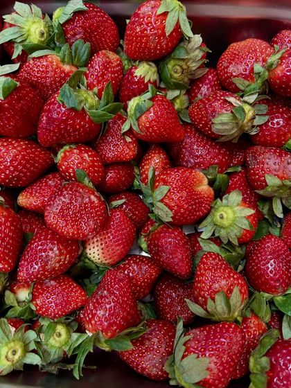 A basket full of fresh, vibrant strawberries, ready to be turned into delicious desserts in our kitchen.