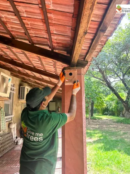Our Head of Nature Conservation Education, Mr. Ishtiak Ahamad, installs a sparrow nest box under the eaves of a building at Sunder Nursery. Strategic placement is key to attracting the birds.
