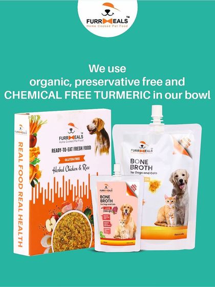 This extensive library of educational content covers everything a pet parent needs to know, from the benefits of turmeric and moringa to tips for hydration, sleep, dental health, and raising a new puppy.