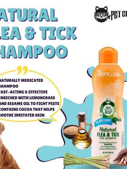 Pet Cartel - Mobile Pet Grooming Pet Care Products & Advice photo 7