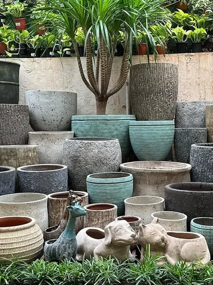 I offer a huge collection of planters, including big glazed ceramics, rustic pots, concrete, and terracotta. This image shows a beautifully arranged cluster of rustic planters, demonstrating the variety of textures and styles available.