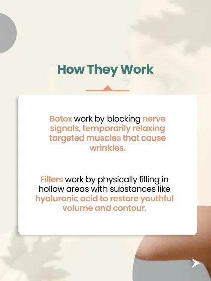 Here we explain the mechanism of action. Botox works by temporarily blocking nerve signals to muscles that cause wrinkles. Fillers work by physically adding volume with substances like hyaluronic acid to fill hollow areas.