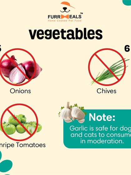 Not all human foods are safe for dogs. This guide shows seven common fruits and vegetables, like grapes and onions, that you should never feed your pet to avoid potential toxicity.