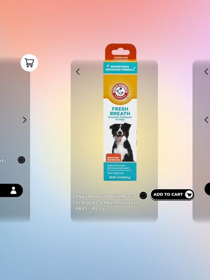 PawsnCollars - Veterinary Care Our Curated Pet Shop photo 8