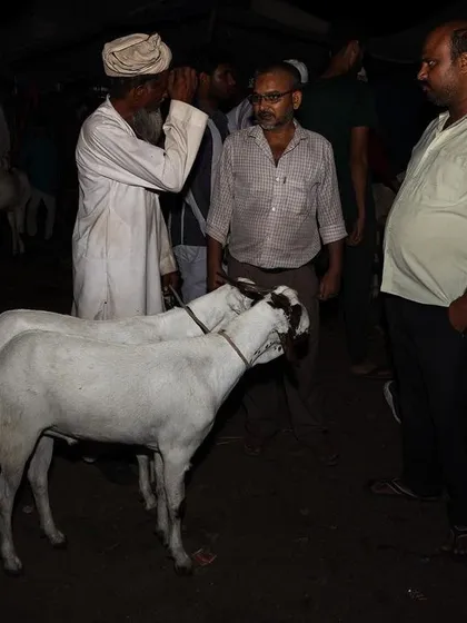 Buyers and sellers negotiate at the Bakra Mandi at night. The image captures the commercial and social aspects of the festival preparations.