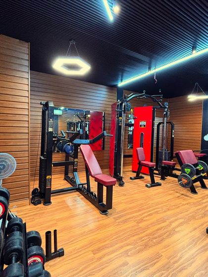 Sameline Interiors - Custom Space Transformation Terrace to Home Gym Conversions photo 8