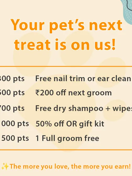 Your pet's next treat is on us. Redeem your points for great perks like a free nail trim, a discount on your next groom, or even a full groom for free.